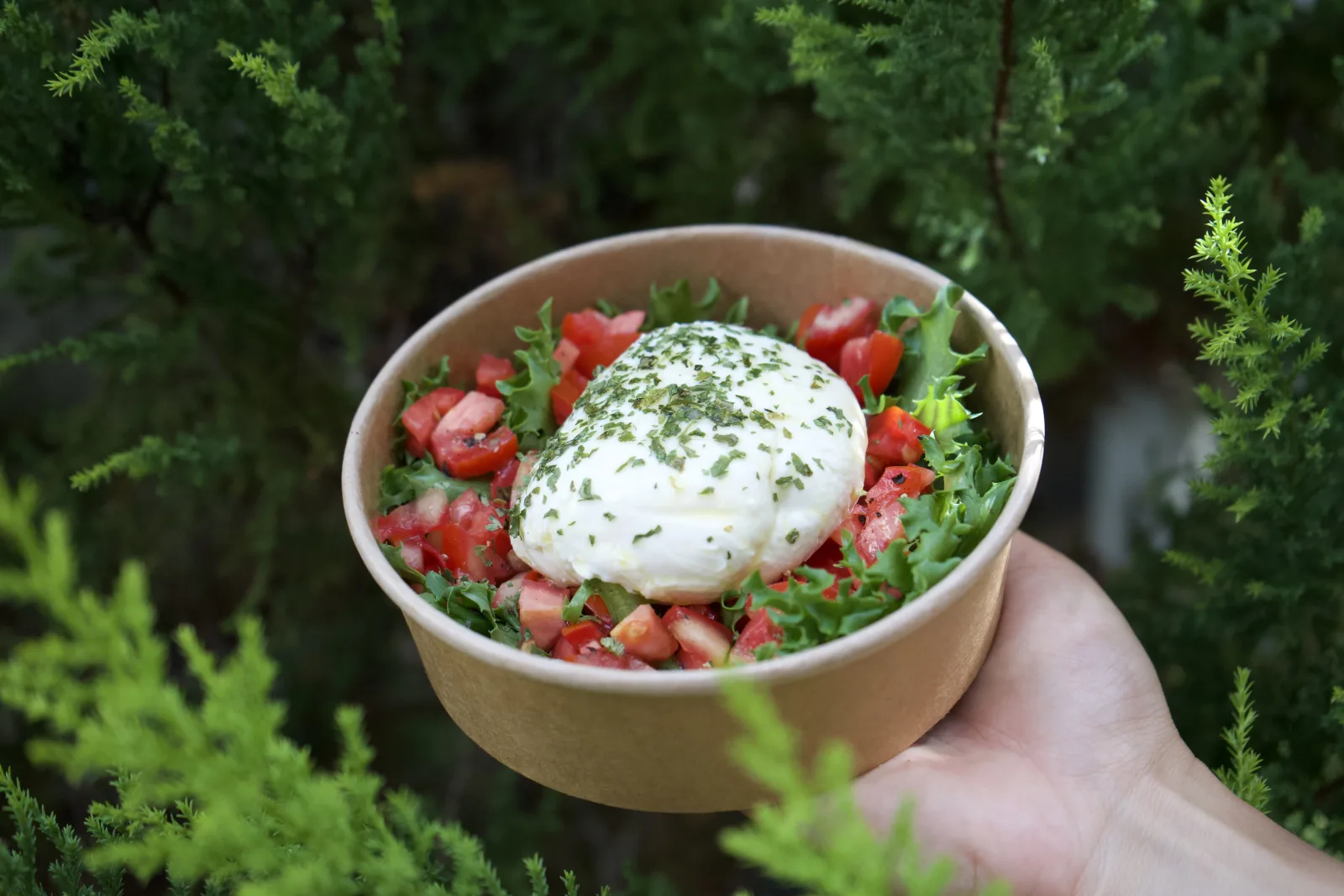 Mozzarella Di Buffala