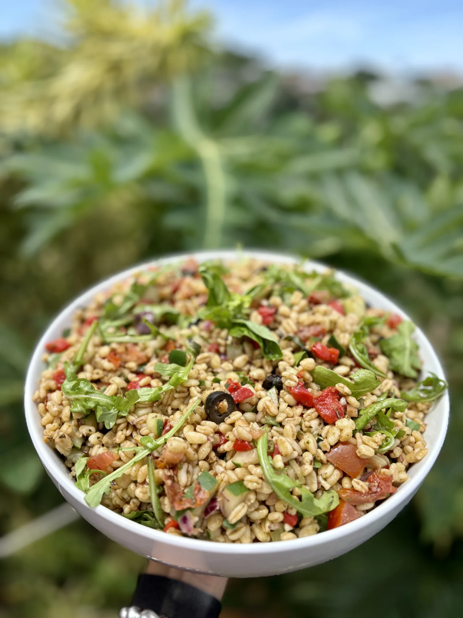Salade de Blé À la Méditerranéenne