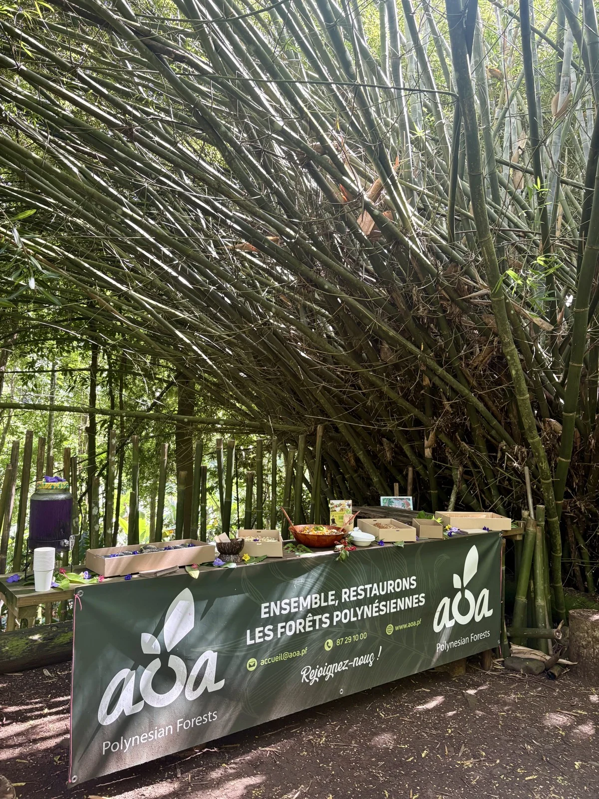 Stand AOA for&ecirc;t de bambous GWAKA